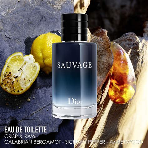 sauvage dior prezzo saldi|Dior Sauvage Eau de Toilette .